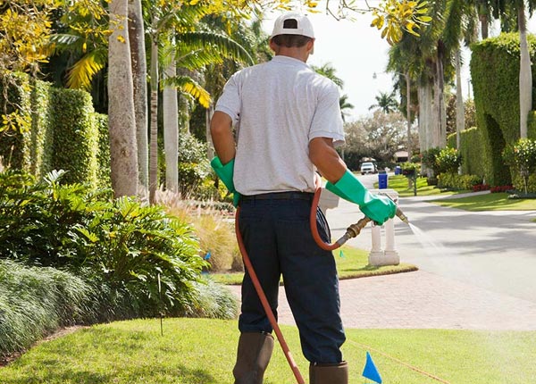 About Winifred MT Pest Control
